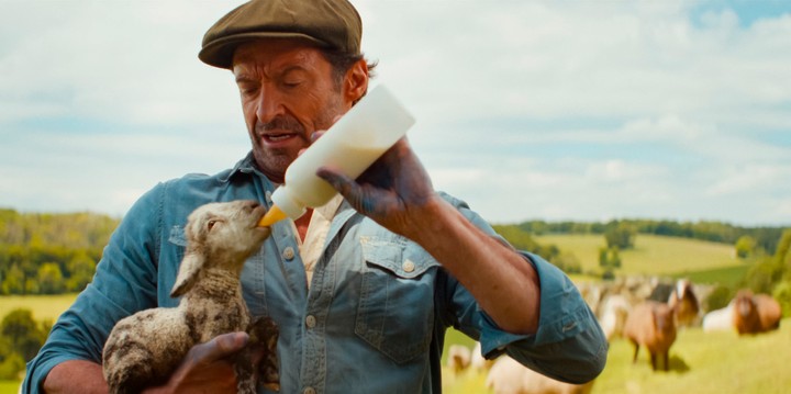 Ovce na stope, Hugh Jackman
